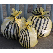 Yellow Tiger Striped Sacks